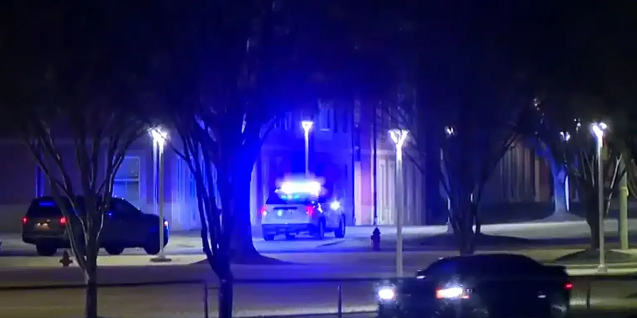 Usa, sparatoria nel campus della South Carolina State University